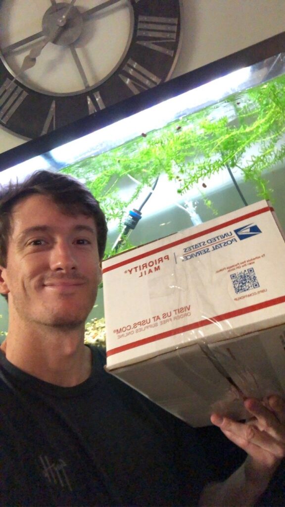 Shipping Fish Online